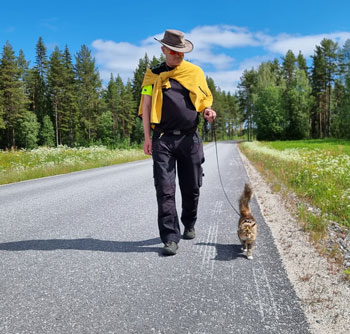Tussilago runt Abborrtjärn